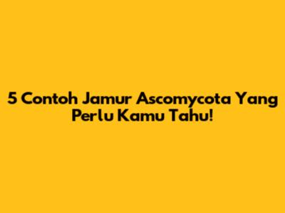 5 Contoh Jamur Ascomycota Yang Perlu Kamu Tahu!