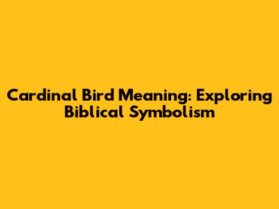 Cardinal Bird Meaning: Exploring Biblical Symbolism