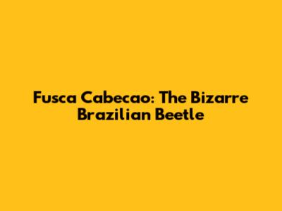 Fusca Cabecao: The Bizarre Brazilian Beetle