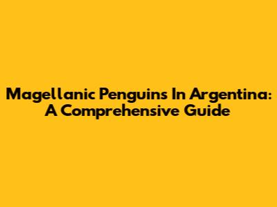 Magellanic Penguins In Argentina: A Comprehensive Guide