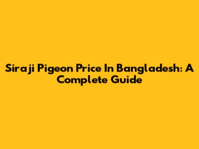 Siraji Pigeon Price In Bangladesh: A Complete Guide